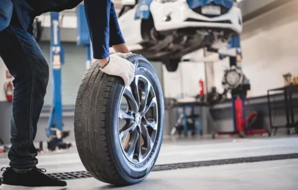 Consider the Longevity and Performance Value