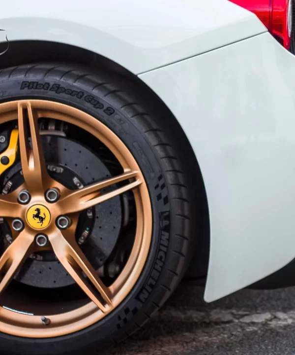 elvis-bekmanis-426634-unsplash-scaled.jpg.bv