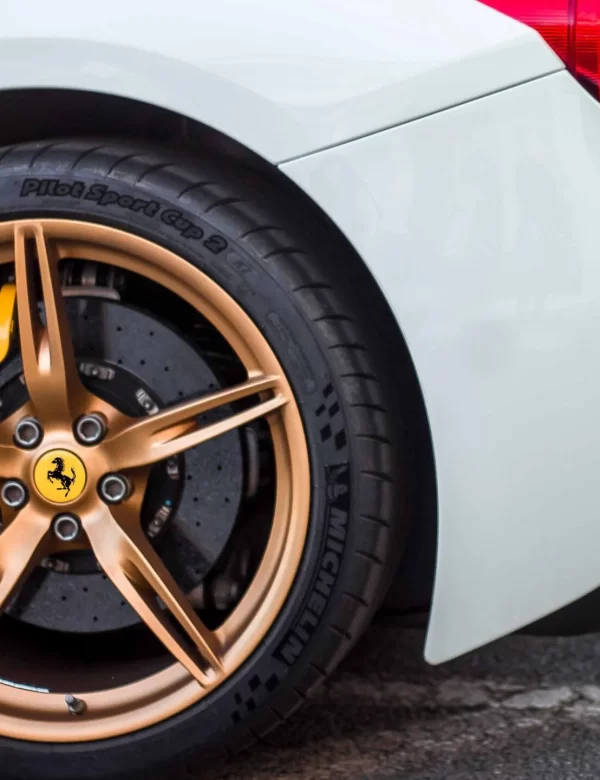 elvis-bekmanis-426634-unsplash-scaled.jpg.bv